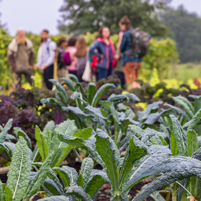 Agroforestería