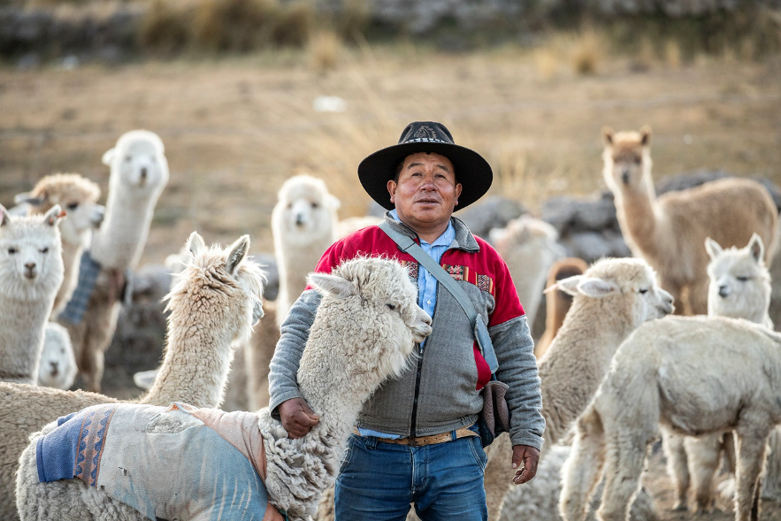 Nueve ideas innovadoras avanzan camino al Fondo Concursable Puna en las alturas de Arequipa
