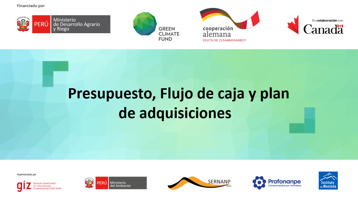 Grabación - Sesión virtual 9: Presupuesto, Flujo de caja y plan de adquisiciones