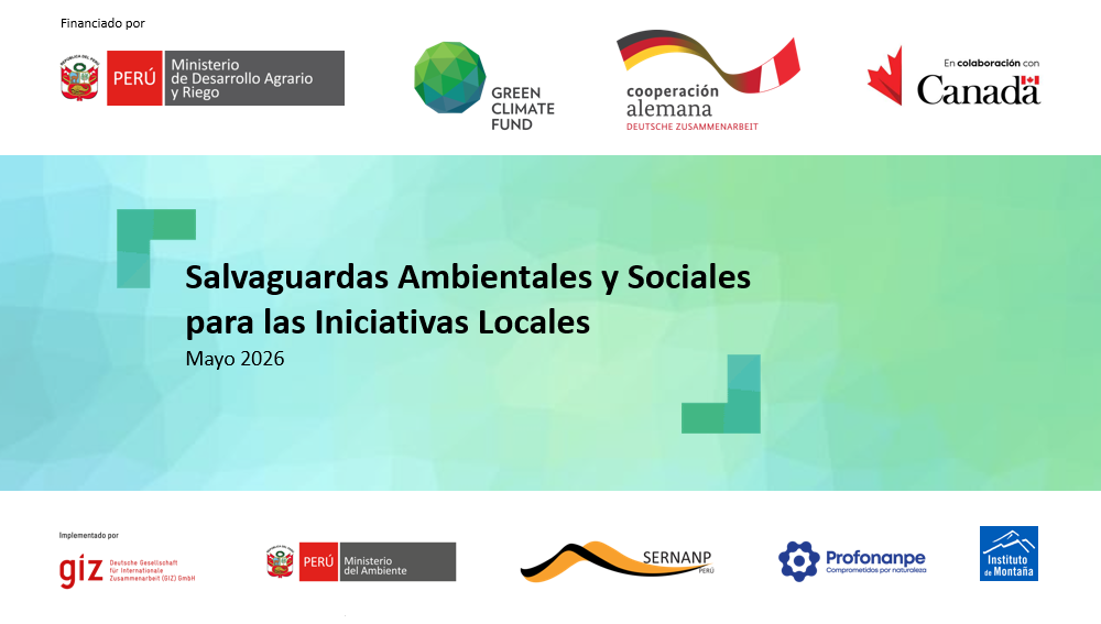 Sesión 11: Salvaguardas Sociales y Ambientales (GIZ)
