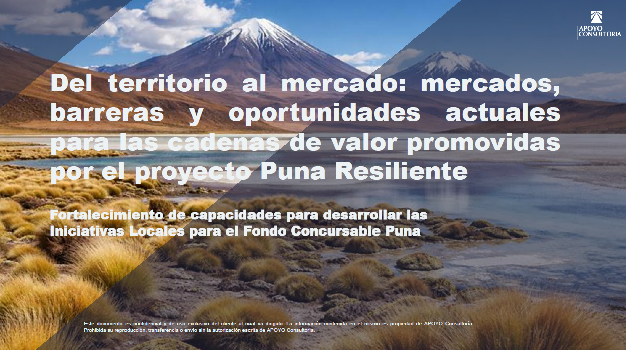 Grabación - Sesión virtual 6: Del territorio al mercado: mercados, barreras y oportunidades actuales para las cadenas de valor promovidas por el proyecto Puna Resiliente