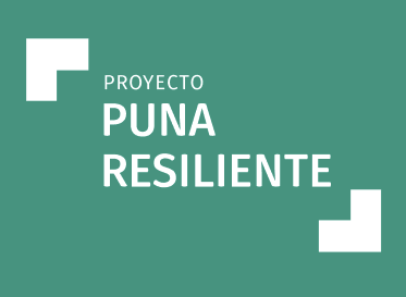 Sesión virtual final - 2da convocatoria: preguntas y consultas (Fondo Concursable Puna)